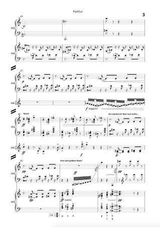 Die Spinne sitzt im Netz und ..., Stefan Hippe, Harfe und Akkordeon, Melodiebass MIII, schwer, Wertungsstück, Wettbewerb, Wettbewerbsliteratur, Duo, Duett, Kammermusik, Akkordeon Noten