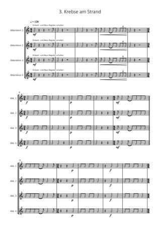 Ozeanmusik, Kai Armbruster, Akkordeon-Orchester, Akkordeon-Ensemble, Suite in 5 Sätzen, auch für kleine Besetzung, leicht, Originalkomposition, Originalmusik, Akkordeon Noten, Beispielseite