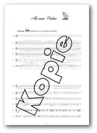 Alle meine Tiere, Marianne Baldauf, Akkordeon-Schülerorchester, Minimusical, leicht, Kinderstimme, Easy-Stimme, erste Orchesererfahrungen, Akkordeon Noten