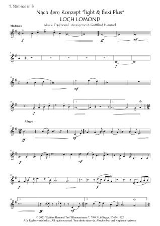 Loch Lomond, Gottfried Hummel, Akkordeon-Orchester, Air, Scottish Traditional, alte schottische Melodie, gälische Folklore, leicht-mittelschwer, Easy-Stimme, Akkordeon Noten, Notenbeispiel