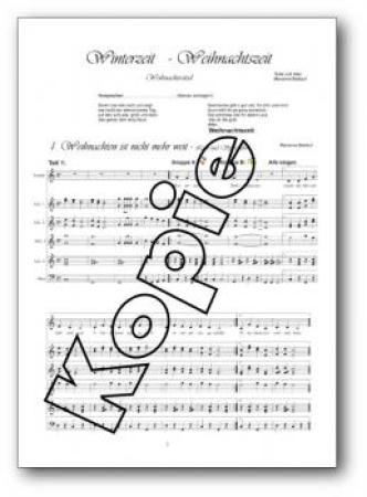 Winterzeit - Weihnachtszeit, Detlef Jöcker, Marianne Baldauf, Akkordeon-Schülerorchester, Minimusical, Weihnachtslieder, leicht, Kinderstimme, Easy-Stimme, erste Orchesererfahrungen, Akkordeon Noten