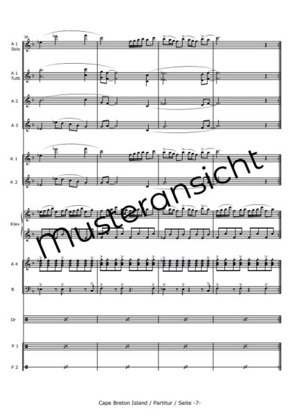 Cape Breton Island - Canadian Impressions, Rudi Braun, Akkordeon-Orchester, Landschaftsbeschreibung, Kanada, Klangvielfalt, mittelschwer-schwer, Konzertstück, Wertungsstück, Akkordeon Noten, Einblick