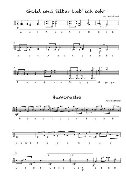 Steirische XXL, Griffschrift, Harmonika, Martina Kluge, Michlbauer, mittelschwer, Harmonika Noten, Liedersammlung, Irish Folk, Tango, Musette, Klassik, Gospel, Spirituals, Country, Traditionals und Folksongs aus aller Welt