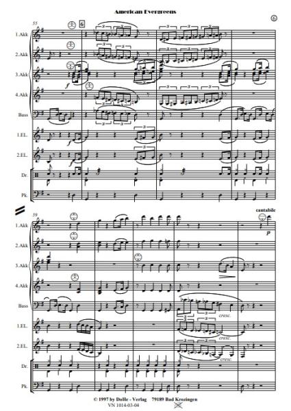 American Evergreens, Werner Heetfeld, Akkordeon-Orchester, Medley, Potpourri, Welthits, mittelschwer-schwer, Akkordeon Noten, Beispielseite