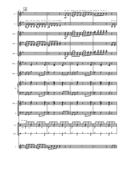 Orinoco Flow, Enya, Roma Ryan, Jürgen Moll, Akkordeon-Orchester, mittelschwer, mit Easy-Stimme, Unterhaltungskonzert, Megahit, Akkordeon Noten, Probeseite