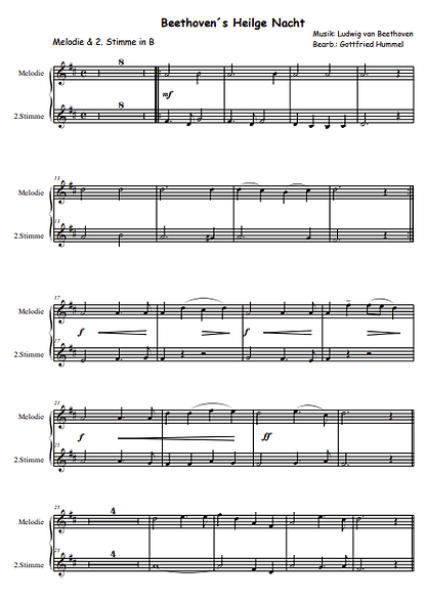 Christmas Snacks, Gottfried Hummel, Kammermusik-Spielheft, 2 Melodieinstrumente (in C, Bb, Es, C (Bass-Schlüssel)), Begleitstimme (Akkordeon oder Klavier), Weihnachtslieder, Adventszeit, leicht, Kammermusik Noten, Blick in die Noten