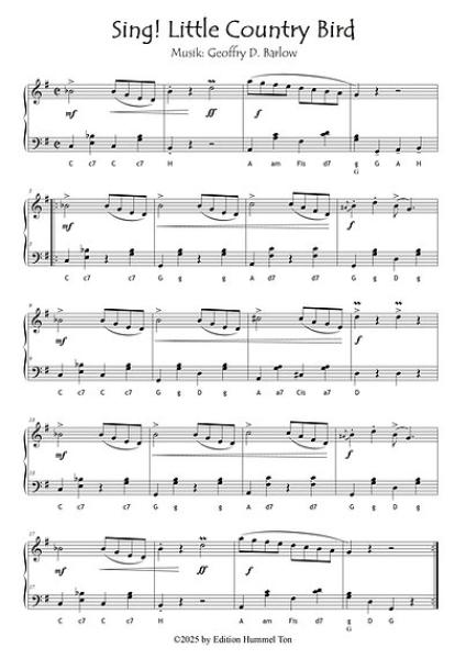 Country Music - Easy Country Songs, Geoffrey D. Barlow, Akkordeon-Solo, Standardbass MII, Klavier, Keyboard, Spielheft, Soloband, Traditionals, Originalkompositionen, leicht, Akkordeon Noten, Beispielseite