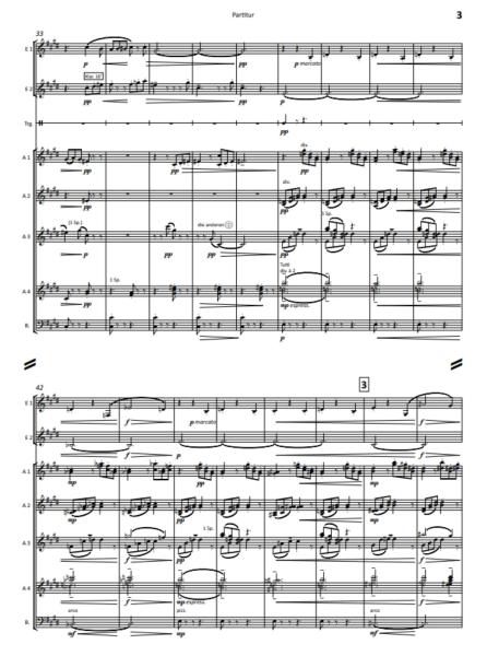 Eine Ballett-Suite in D-Dur, op. 130 - Satz 6: Finale, Max Reger, Stefan Hippe, Akkordeon-Orchester, Suite, (mittelschwer-) schwer, Spätromantik, Akkordeon Noten, Notenbeispiel