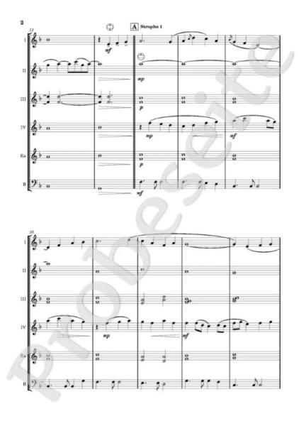 Danny Boy, Björn Kasan, Akkordeon-Orchester, Akkordeon-Ensemble, Air, Irish Traditional, alte irische Melodie, gälische Folklore, leicht-mittelschwer, Easy-Stimme, Akkordeon Noten, Blick in die Noten