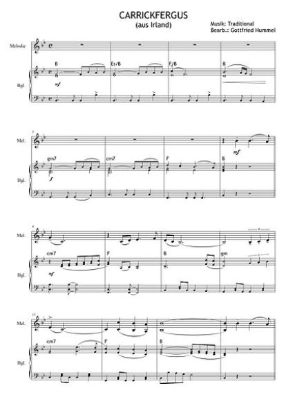 Moments of Silence, Gottfried Hummel, Kammermusik-Spielheft, 2 Melodieinstrument (in C hoch und tief, Bb, Es, C (Bass-Schlüssel)), Begleitstimme (Akkordeon oder Klavier), mittelschwer, Kammermusik Noten, Einblick in die Noten