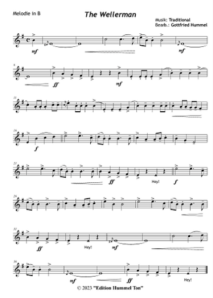 Sail Away With Mr. Wellerman & Friends, Gottfried Hummel, Melodieinstrument, Begleitung, Akkordeon, Klavier, Keyboard, Spielheft, Shantys, Seemannslieder, mittelschwer, Kammermusik Noten, Blick in die Noten