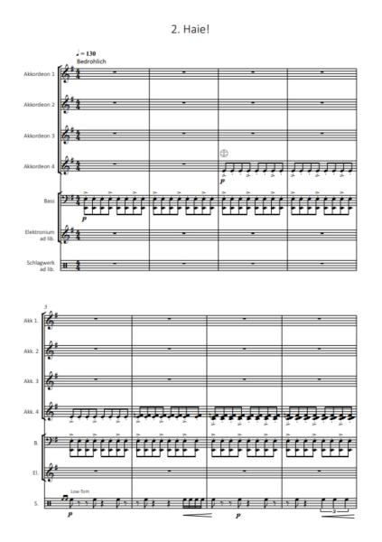 Ozeanmusik, Kai Armbruster, Akkordeon-Orchester, Akkordeon-Ensemble, Suite in 5 Sätzen, auch für kleine Besetzung, leicht, Originalkomposition, Originalmusik, Akkordeon Noten, Blick in die Noten