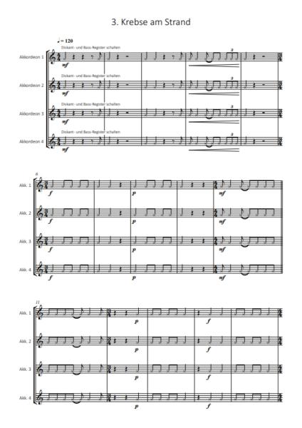 Ozeanmusik, Kai Armbruster, Akkordeon-Orchester, Akkordeon-Ensemble, Suite in 5 Sätzen, auch für kleine Besetzung, leicht, Originalkomposition, Originalmusik, Akkordeon Noten, Beispielseite