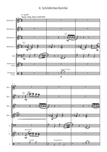 Ozeanmusik, Kai Armbruster, Akkordeon-Orchester, Akkordeon-Ensemble, Suite in 5 Sätzen, auch für kleine Besetzung, leicht, Originalkomposition, Originalmusik, Akkordeon Noten, Probeseite