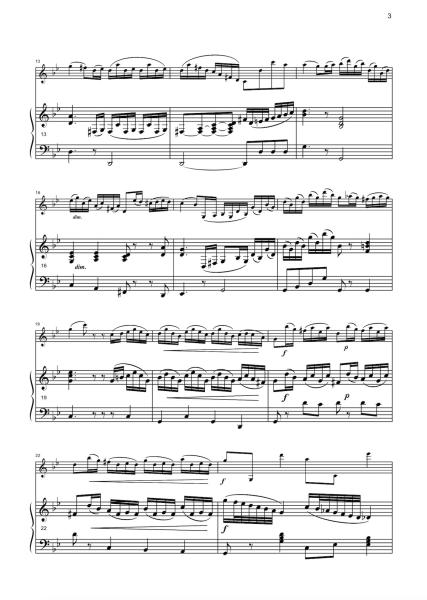 Studie, Andreas Nebl, Melodieinstrument in C oder Bb und Akkordeon, ​Melodiebass MIII, mittelschwer-schwer, Nebl & Nebl, Akkordeon Plus, Kammermusik, Klarinette, Duo, Duett, Akkordeon Noten