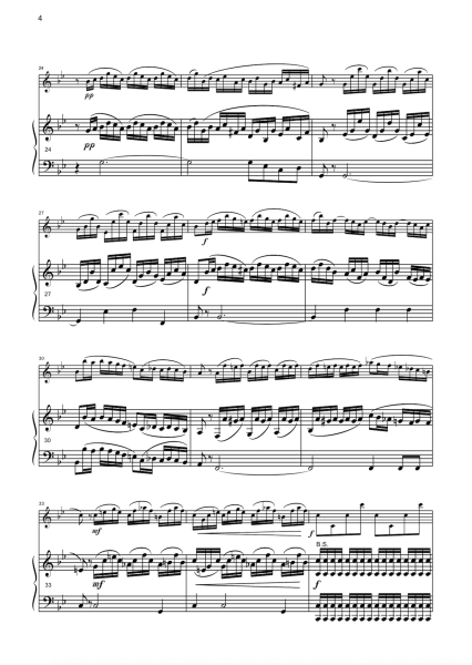 Studie, Andreas Nebl, Melodieinstrument in C oder Bb und Akkordeon, ​Melodiebass MIII, mittelschwer-schwer, Nebl & Nebl, Akkordeon Plus, Kammermusik, Klarinette, Duo, Duett, Akkordeon Noten