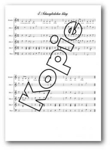 Begegnung mit dem Frühling, Marianne Baldauf, Akkordeon-Schülerorchester, leicht, Kinderstimme, Easy-Stimme, erste Orchesererfahrungen, Akkordeon Noten