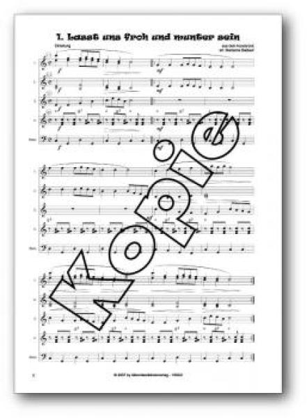 Winterzeit - Weihnachtszeit, Marianne Baldauf, Akkordeon-Solo, beiliegender 5-stimmiger Ensemble-Satz, Spielheft, Adventslieder, Winterlieder, Weihnachtslieder, sehr leicht-leicht, Akkordeon Noten