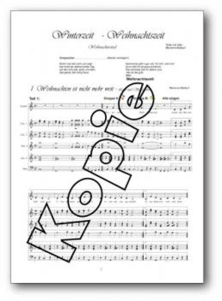 Winterzeit - Weihnachtszeit, Detlef Jöcker, Marianne Baldauf, Akkordeon-Schülerorchester, Minimusical, Weihnachtslieder, leicht, Kinderstimme, Easy-Stimme, erste Orchesererfahrungen, Akkordeon Noten
