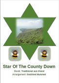 Star Of The County Down, The Drunken Sailor, Gottfried Hummel, Akkordeonorchester, Folk Song aus Irland, leicht-mittelschwer, Easy-Stimme, grüne Insel, Akkordeon Noten